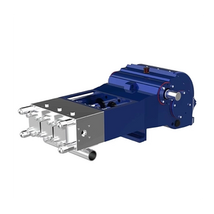 Garden Sprayer Triplex Plunger Pump for Power Washing 